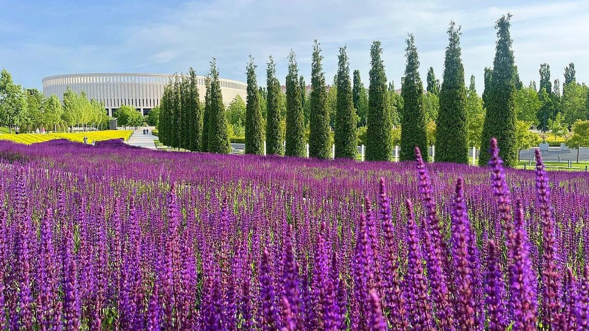    Фото: телеканал «Краснодар»