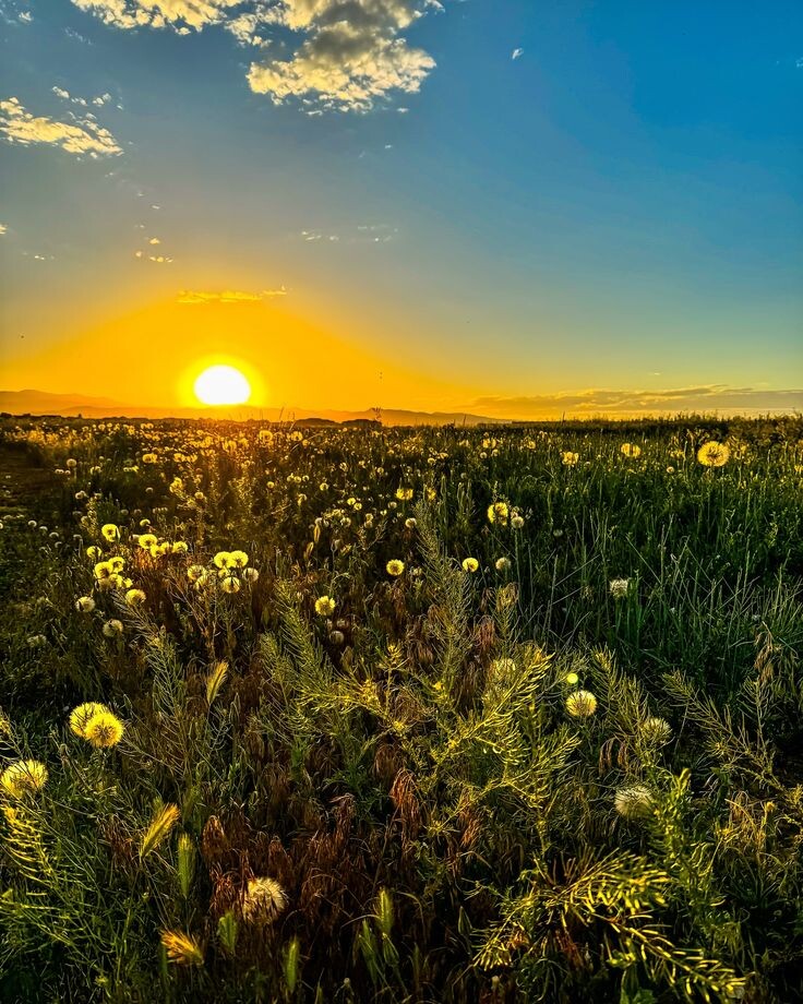 Источник: Pinterest.com