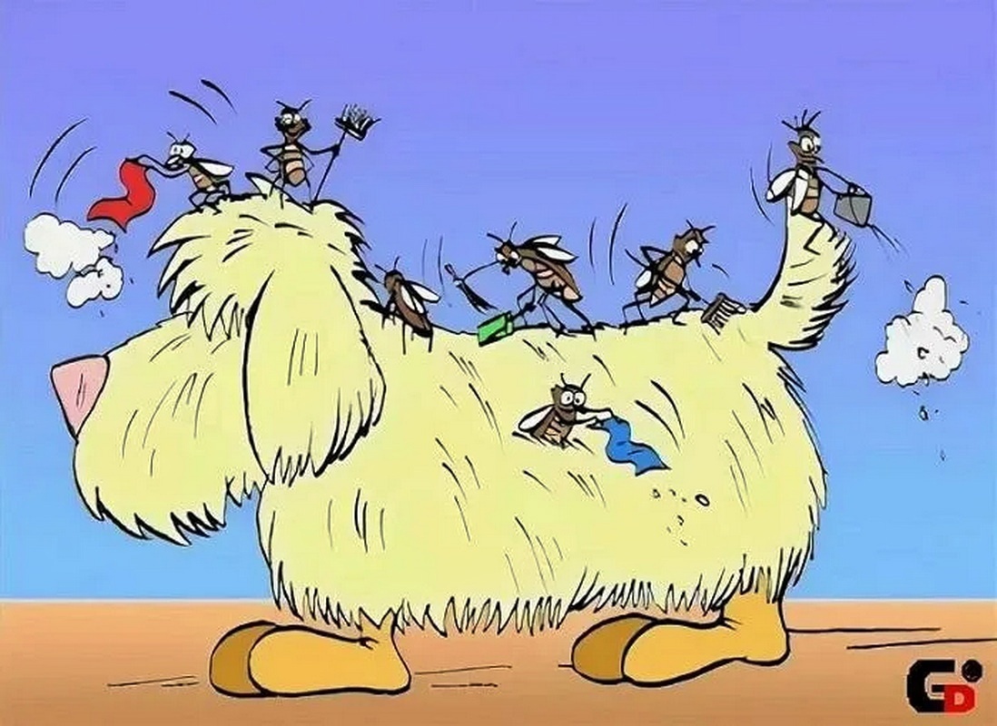 Дом надо любить и содержать в чистоте