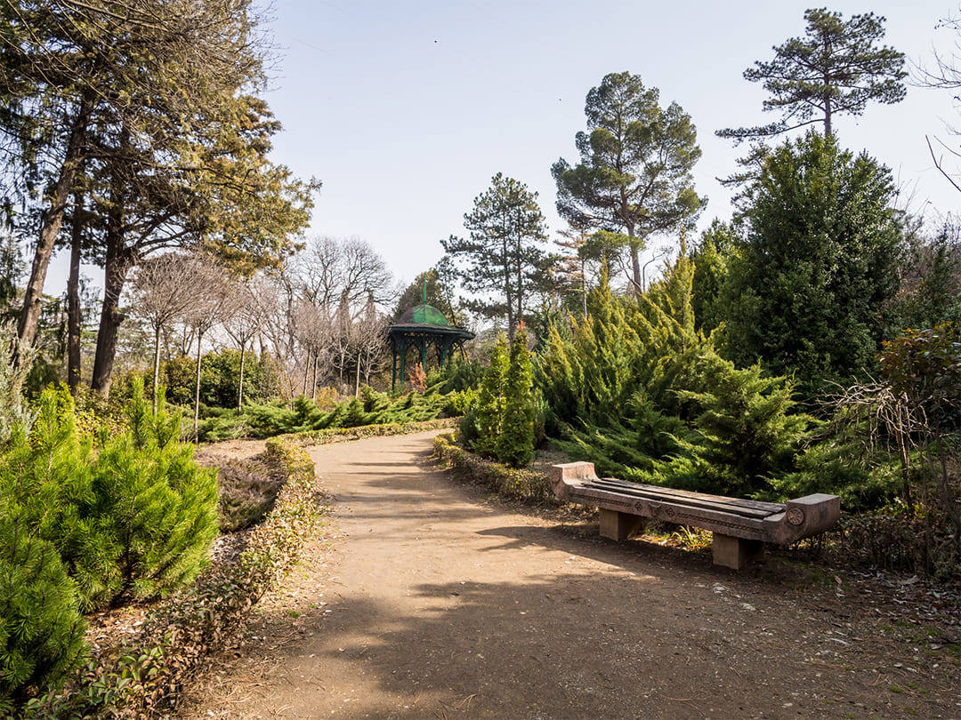 Фото: Shutterstock