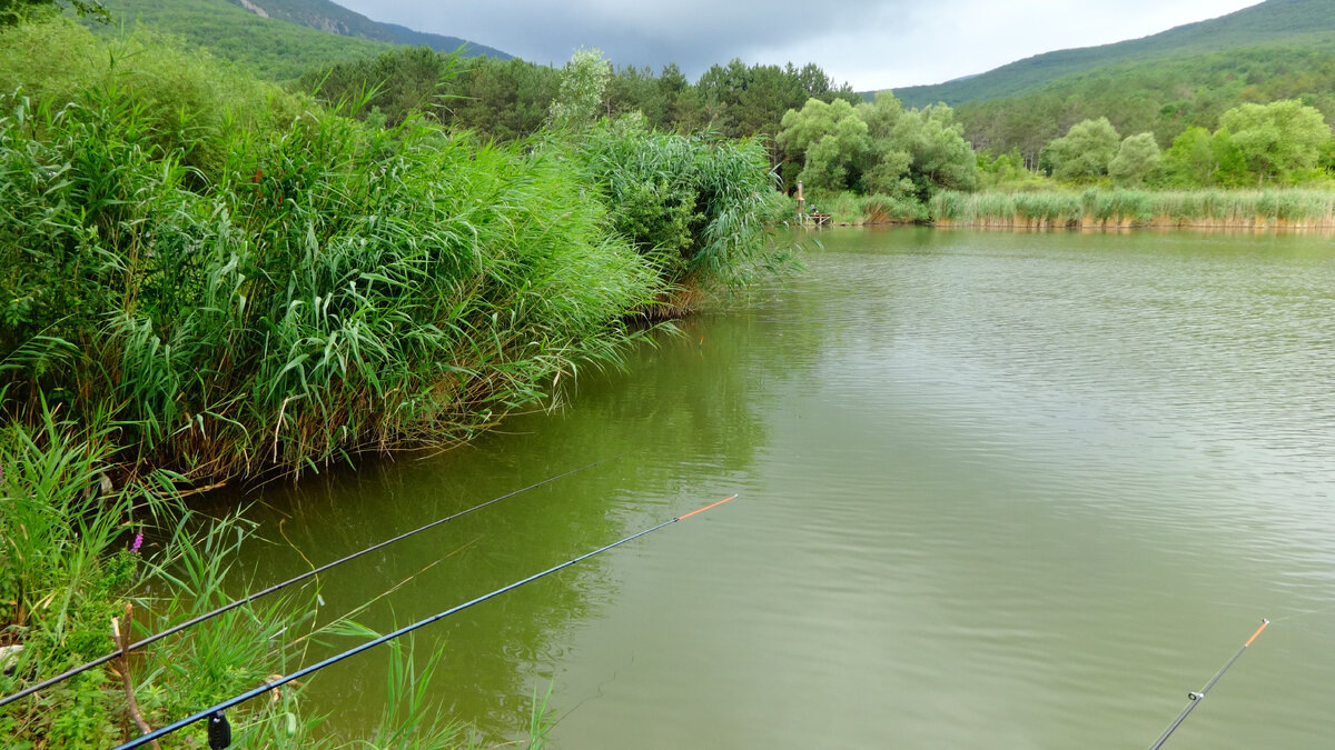 Фото автора.