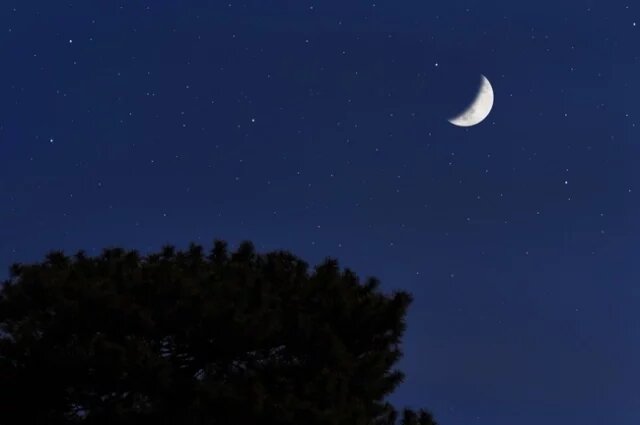    Как влияет на организм растущая Луна?