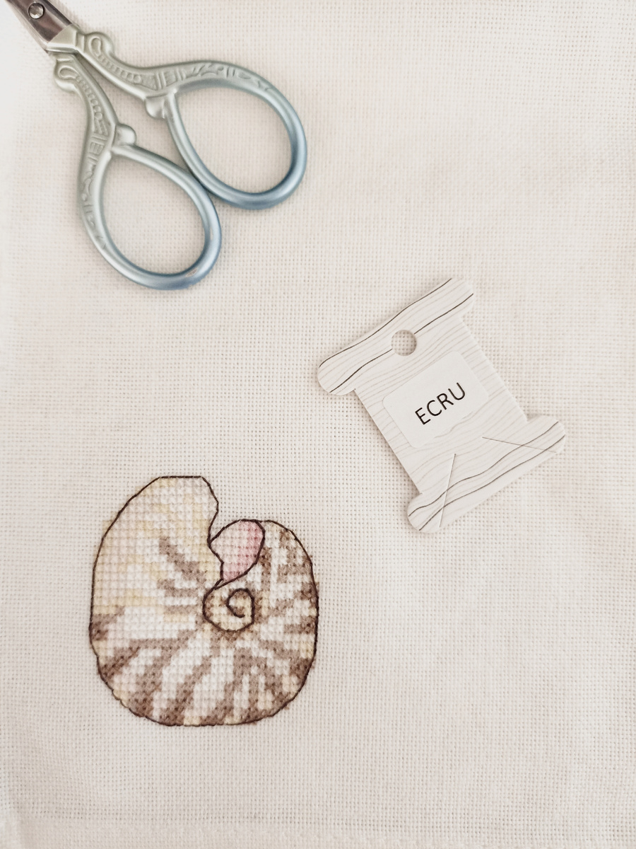 Сломанная ракушка