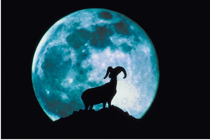 Полнолуние в знаке Козерог.