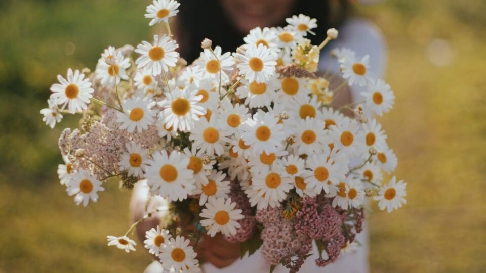    Жара. Лето. Погода. Источник: Анна Меньшикова