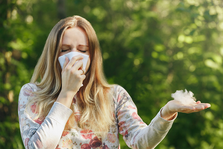    Shutterstock/FOTODOM