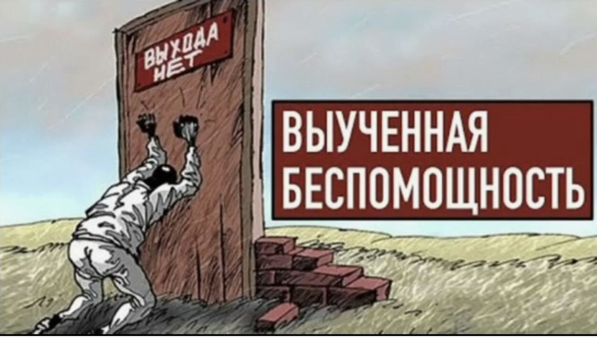 картинка взята из открытых источников интернета