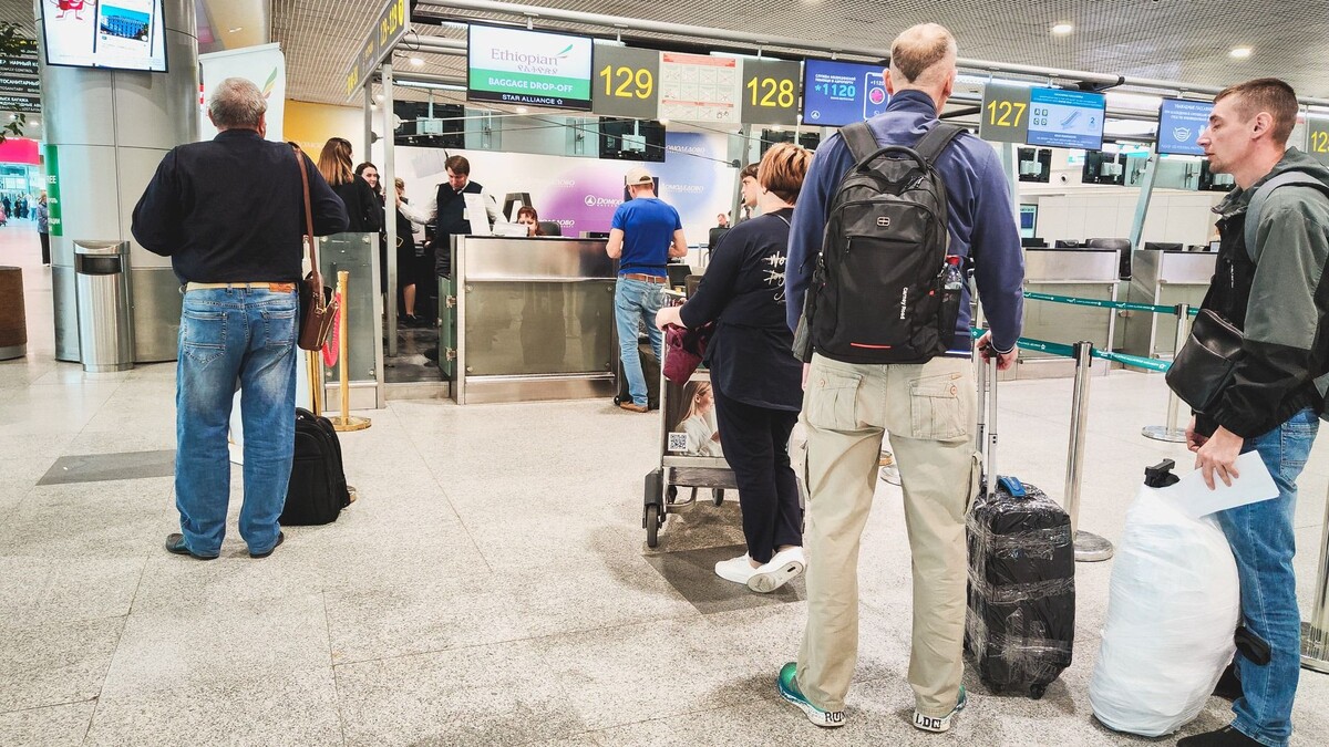     Источник: 1MI