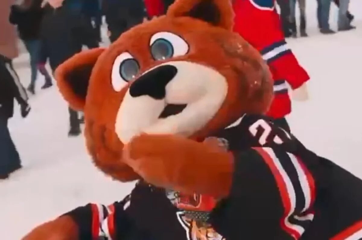    Бывший талисман ХК «Амур» из Хабаровска погиб в зоне СВО