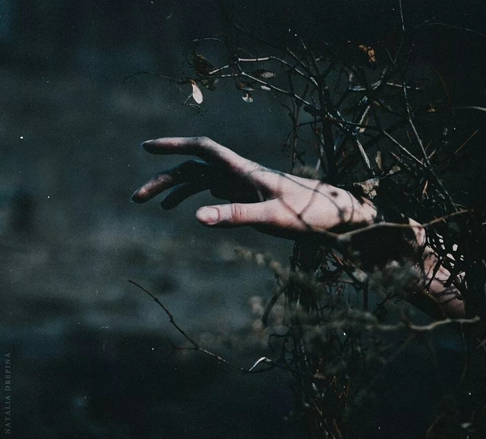 Изображение взято из открытых источников интернета. 