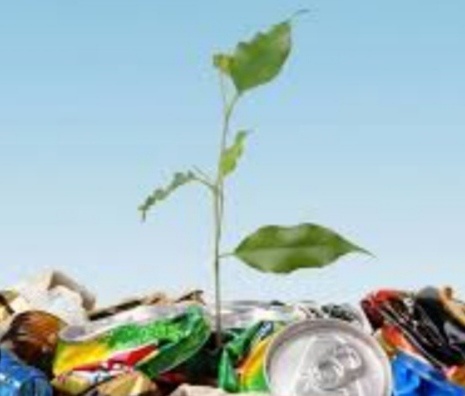 Дом без отходов: как жить экологично и экономить