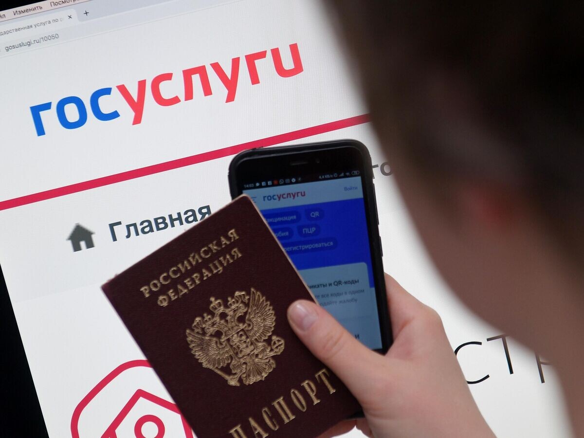    Справочно-информационный интернет-портал Госуслуги© РИА Новости / Владимир Трефилов