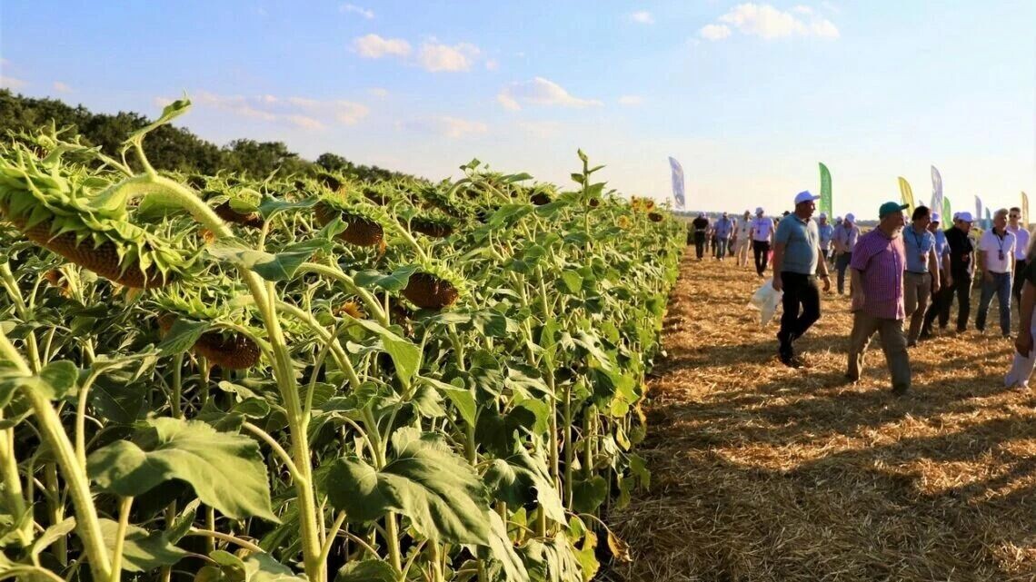     Источник: пресс-служба администрации Краснодарского края