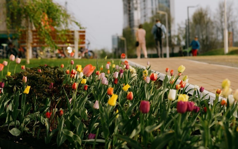    Главные новости Ижевска на утро 10 июля: загорелось сено и задержали причастного к поджогам