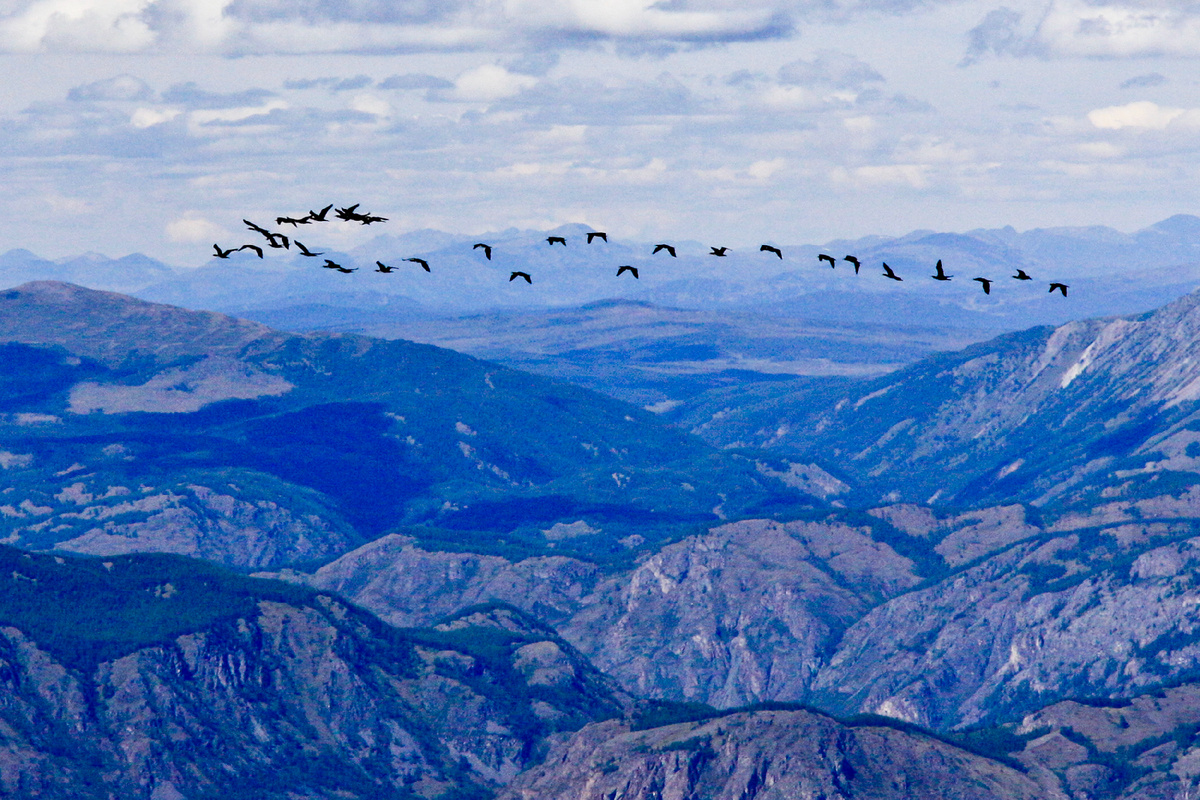 Фото Олега Укладова