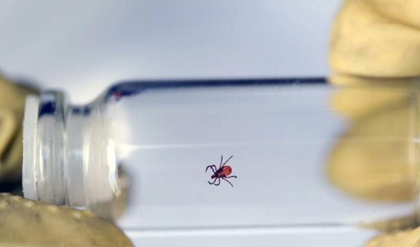    Фото - паблик регионального управления Роспотребнадзора по Новосибирской области ВКонтакте