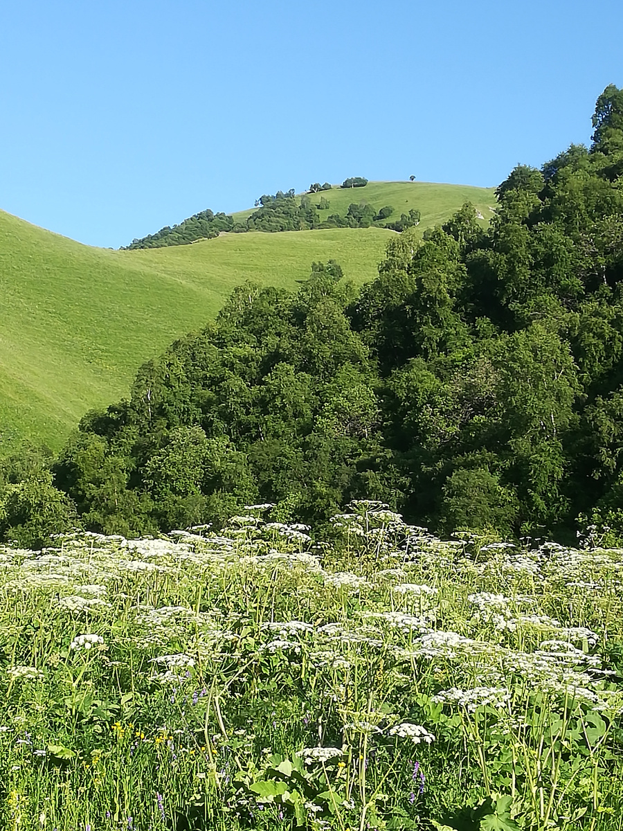 Предгорья, дорога. 