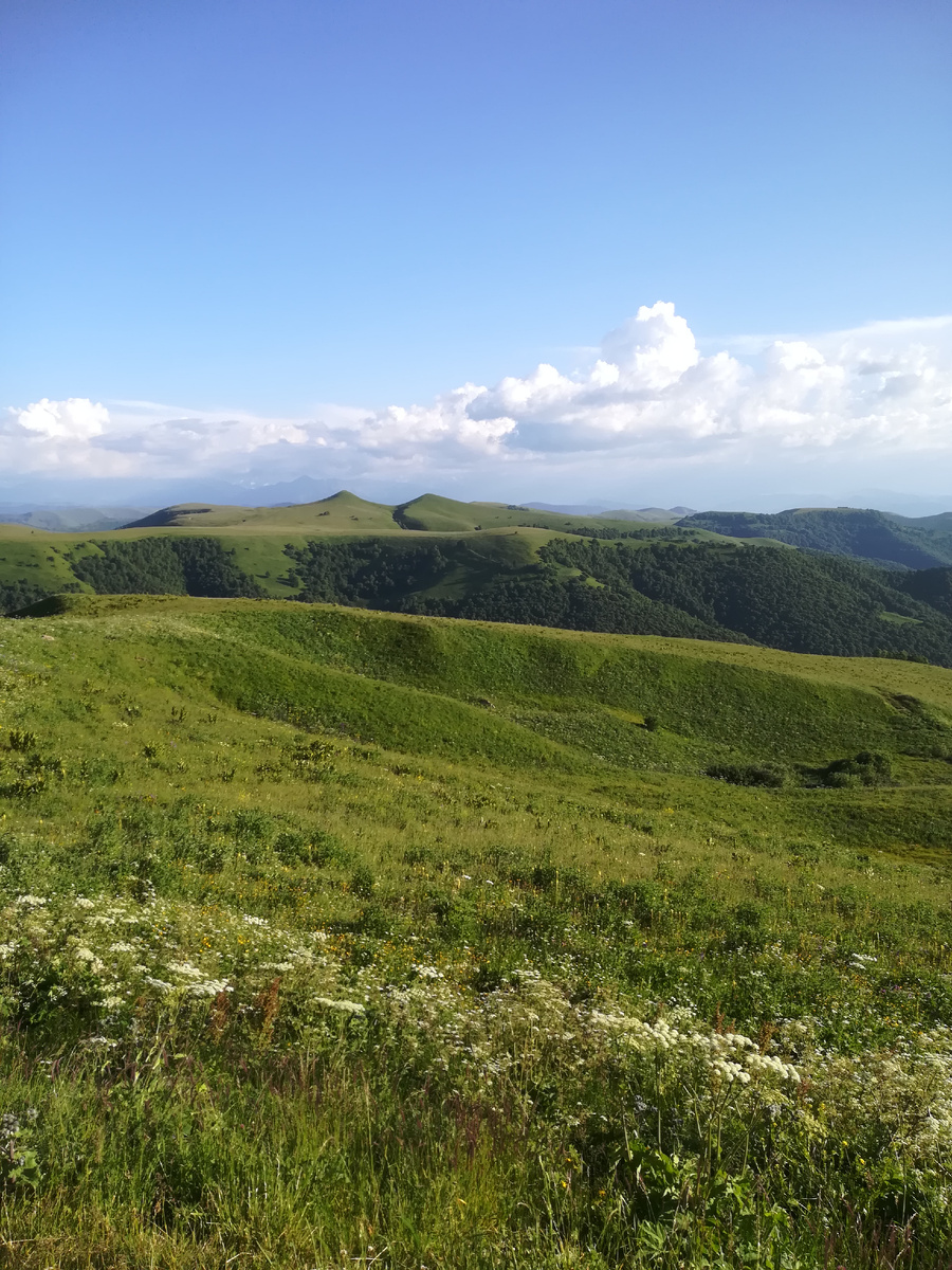 Хребет на горизонте, это тоже ещё не сердце гор, но до чего красота. 