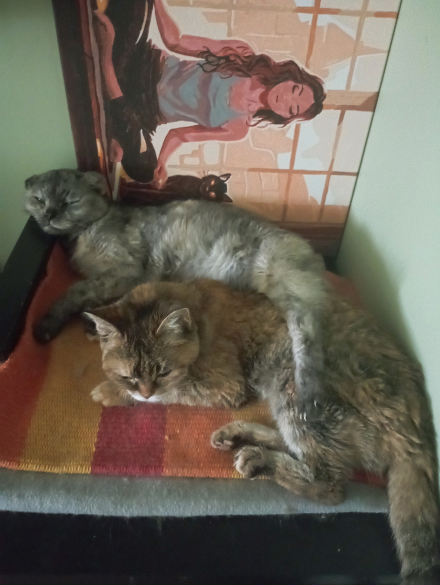 Доча и мама. Элис - 19 лет, Соне - 18 лет. Соня выглядит лучше, чем её мама год назад. 