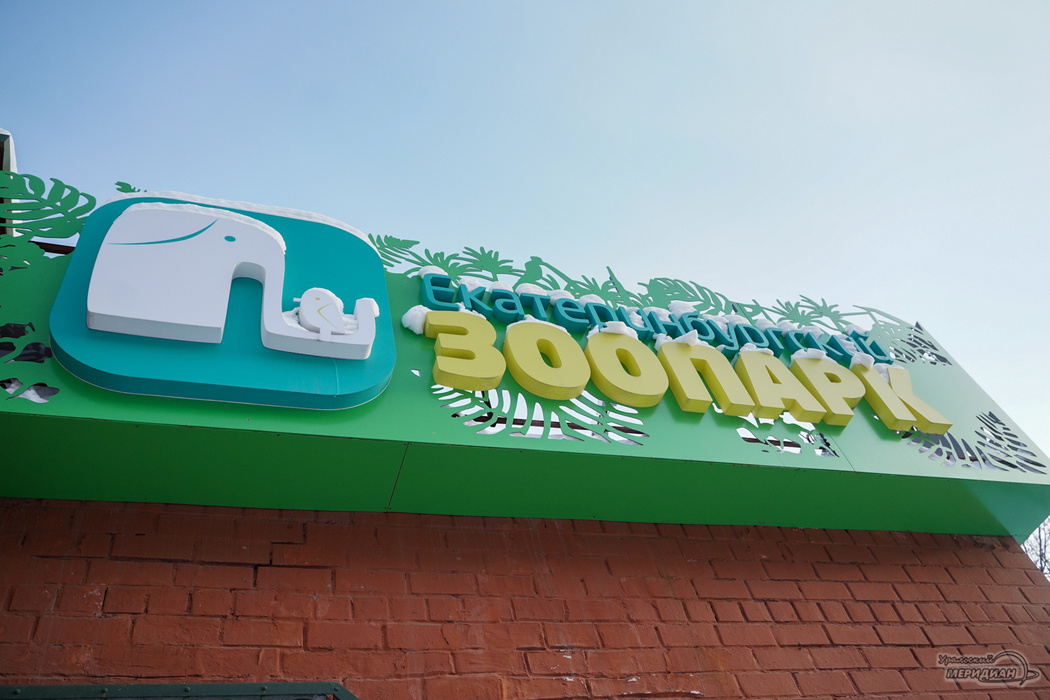    Фото: Лидия Аникина © ИА "Уральский меридиан"