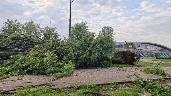    © Photo : Telegram / Могилёв - мой город!