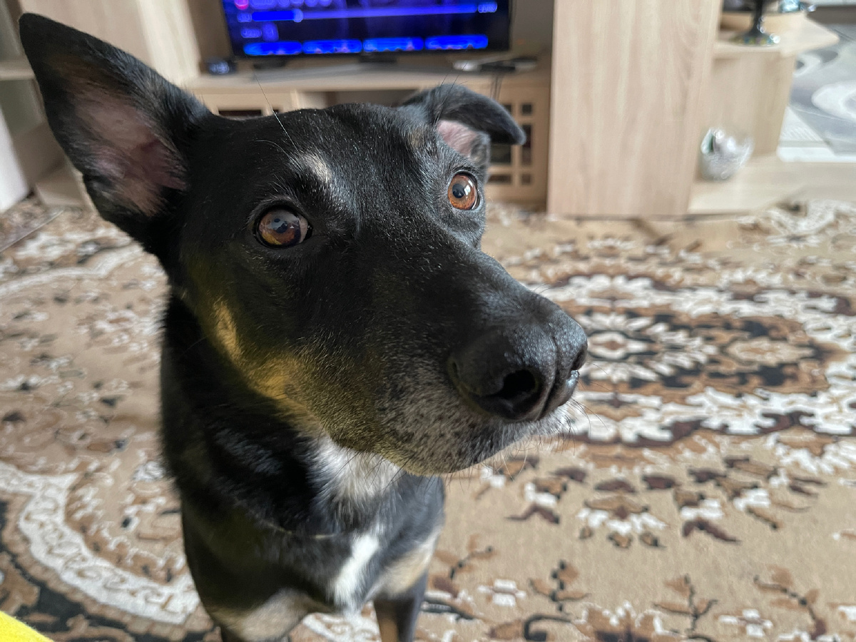 Миша, а может не нужно?