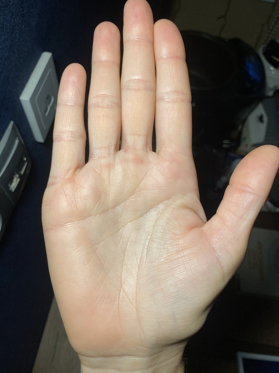 Фото с моего канала.