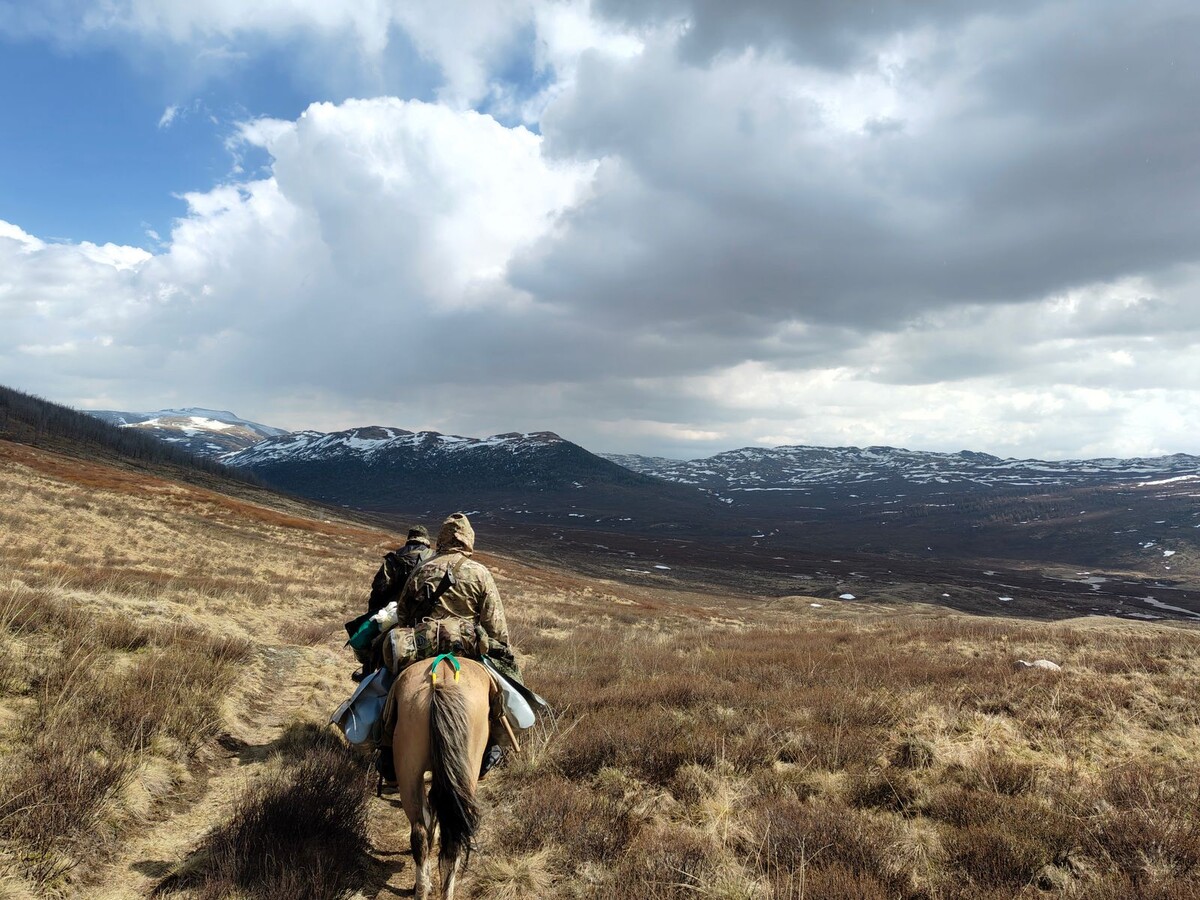  В патрульном рейде