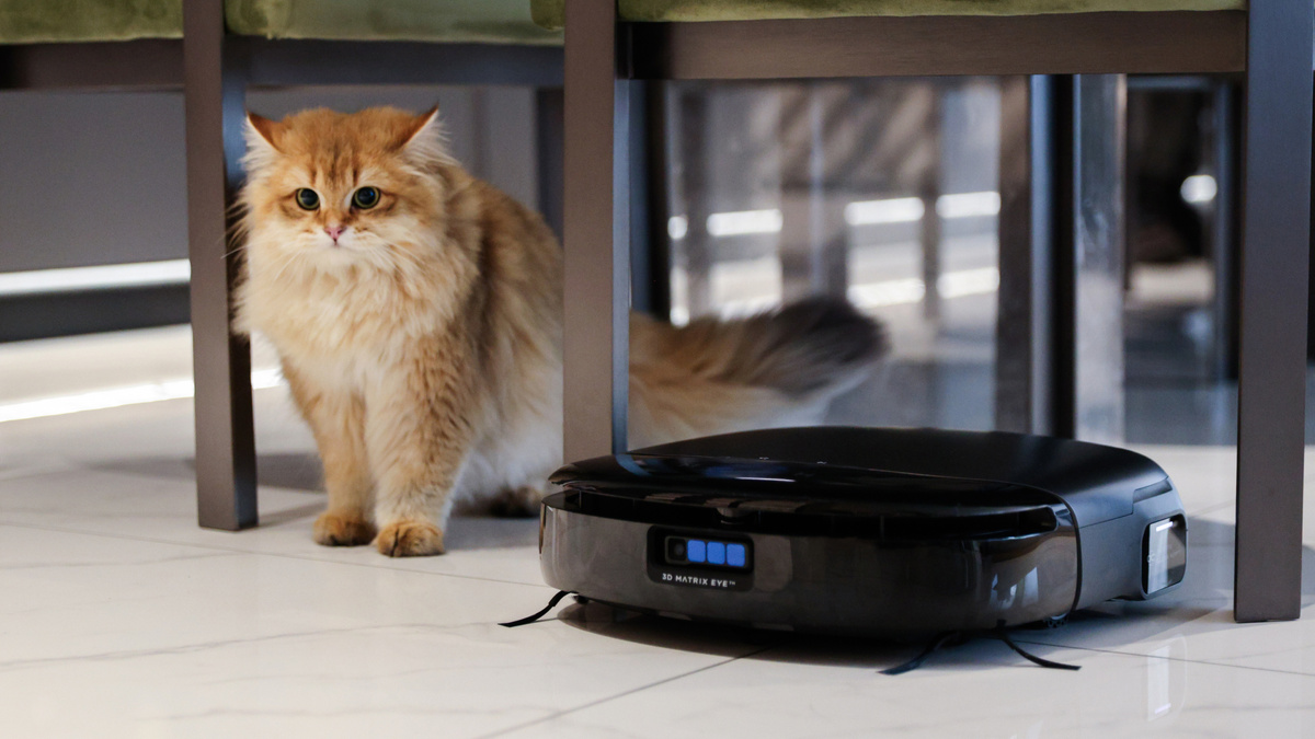 Фото с сайта: https://www.t3.com/news/eufy-announces-new-robot-vacuum-cleaner-thats-more-human-than-you-think