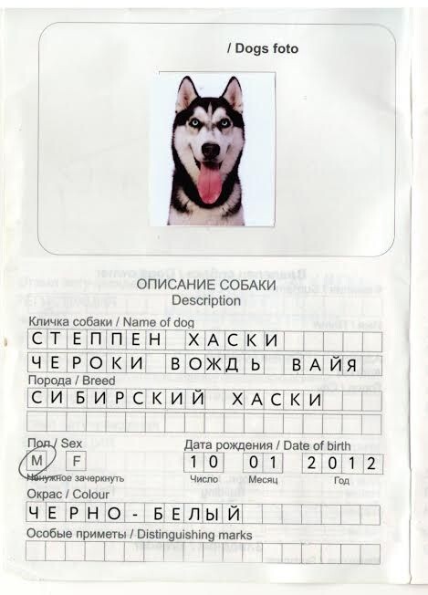 На первый взгляд, это сложная формула, но на самом деле в ней зашифрована вся история происхождения вашего чемпиона.