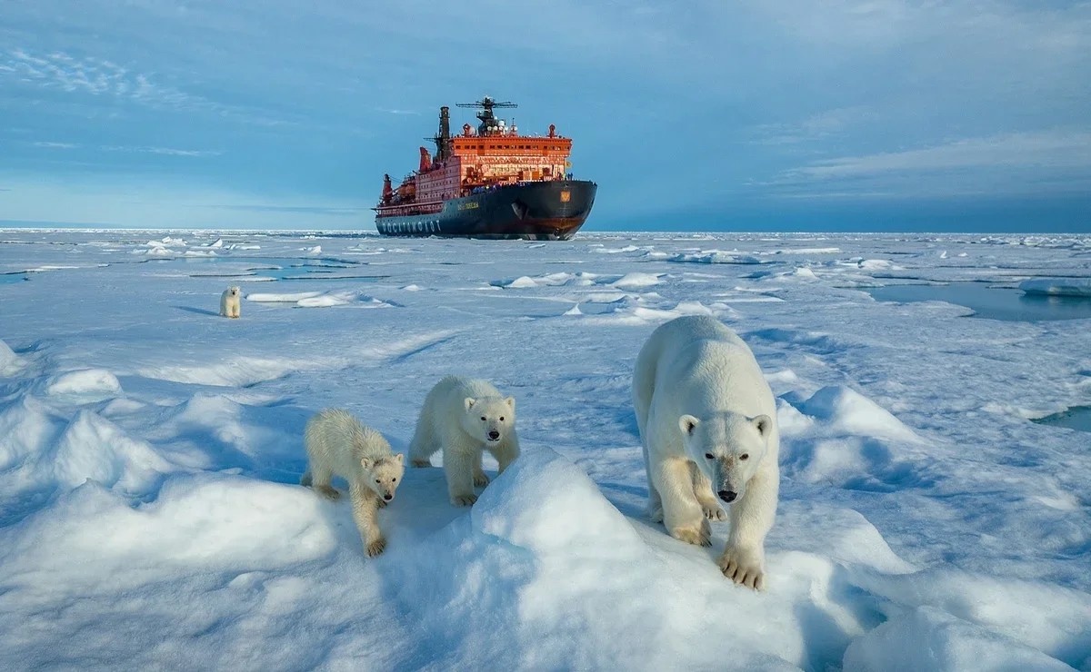 Всё это — прекрасная и загадочная Арктика. Источник фото https://clk.li/RwrG
