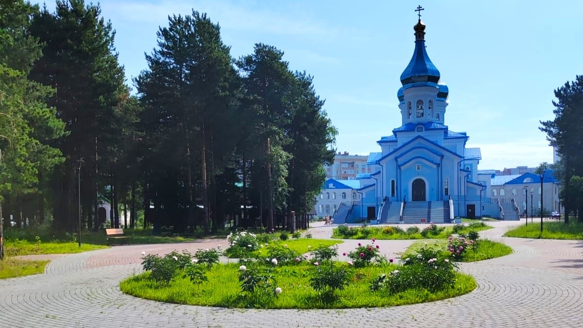    В Сургут зацвела пионовая аллея