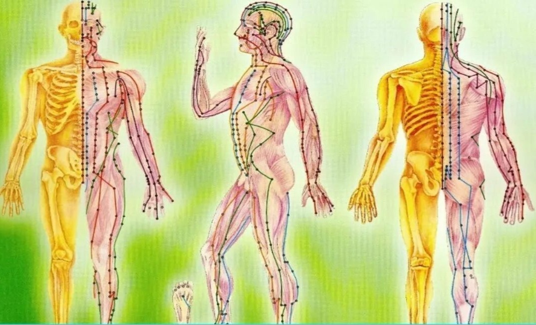 Из ЯндексКартинок 