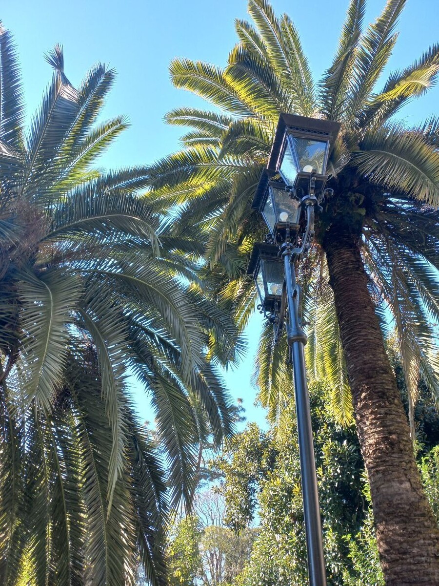    Абхазия. Ресторан Гагрипш.. Источник: Олеся Веселкова /"Толк"