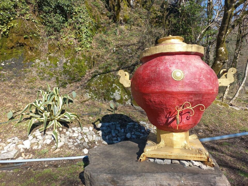    Абхазия. Чай.. Источник: Олеся Веселкова/"Толк"