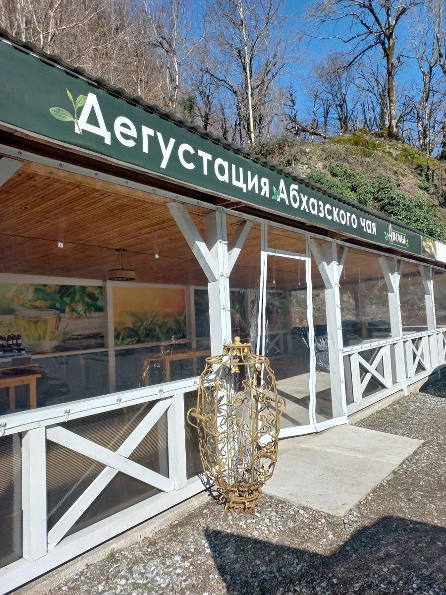    Абхазия. Чай.. Источник: Олеся Веселкова/"Толк"