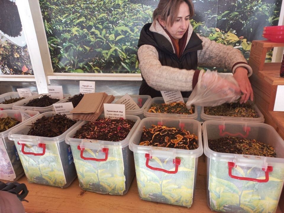    Абхазия. Чай.. Источник: Олеся Веселкова/"Толк"