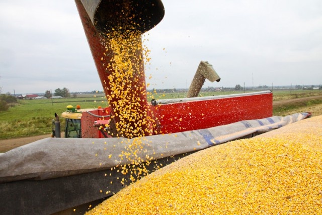   Фото из архива Калининград.Ru