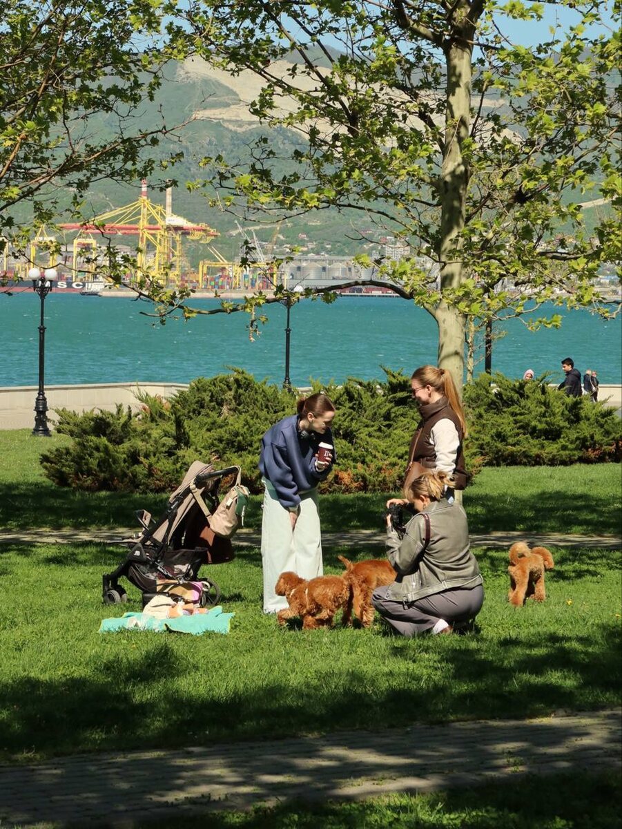 Центральная Набережная район Городского пляжа. Весна в городе. 