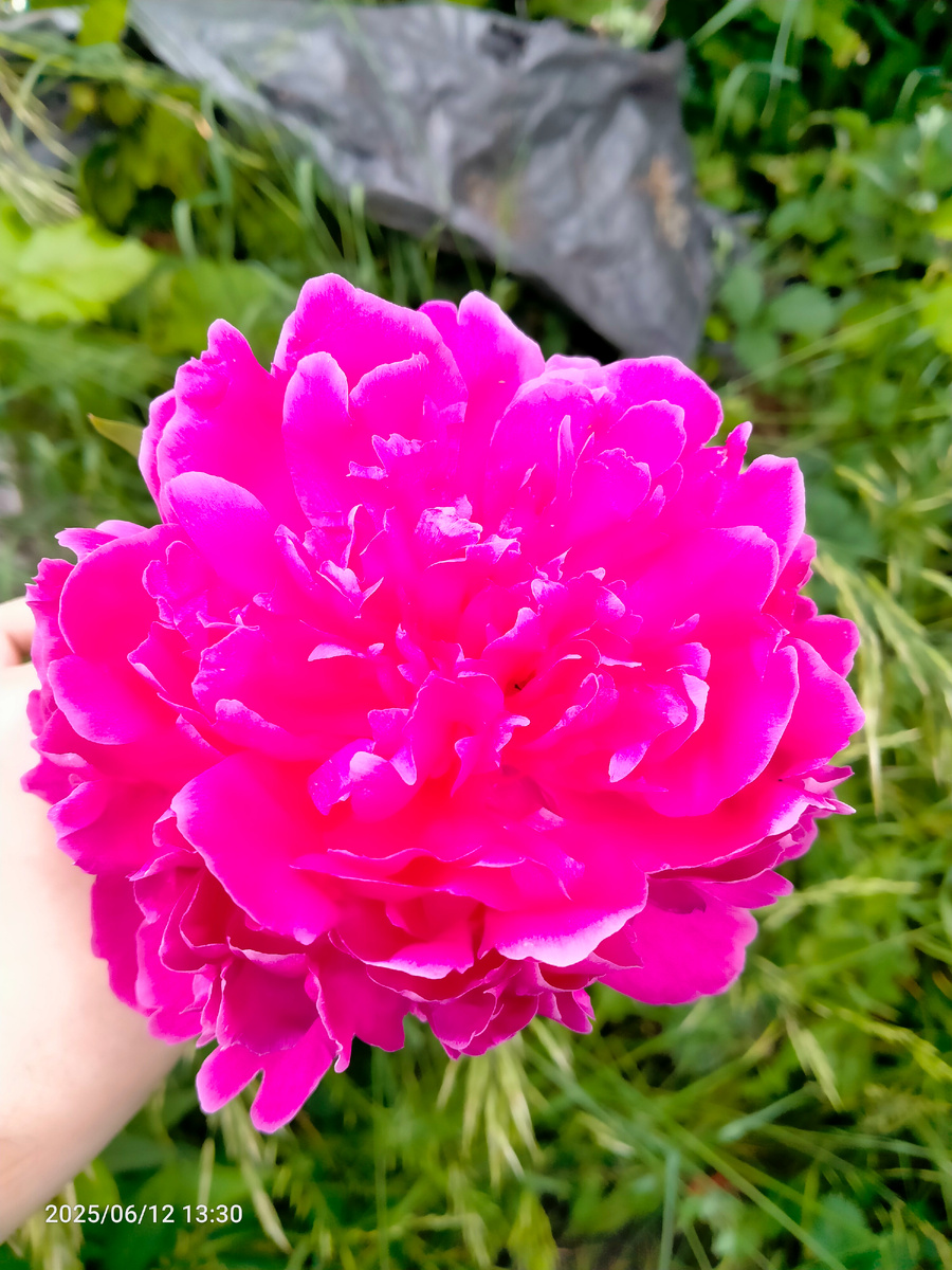 Фотография автора 