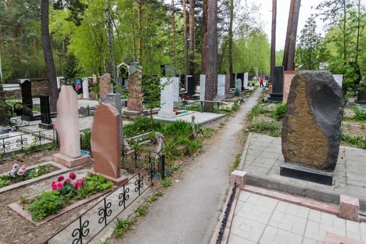    Фото Андрея Заржецкого