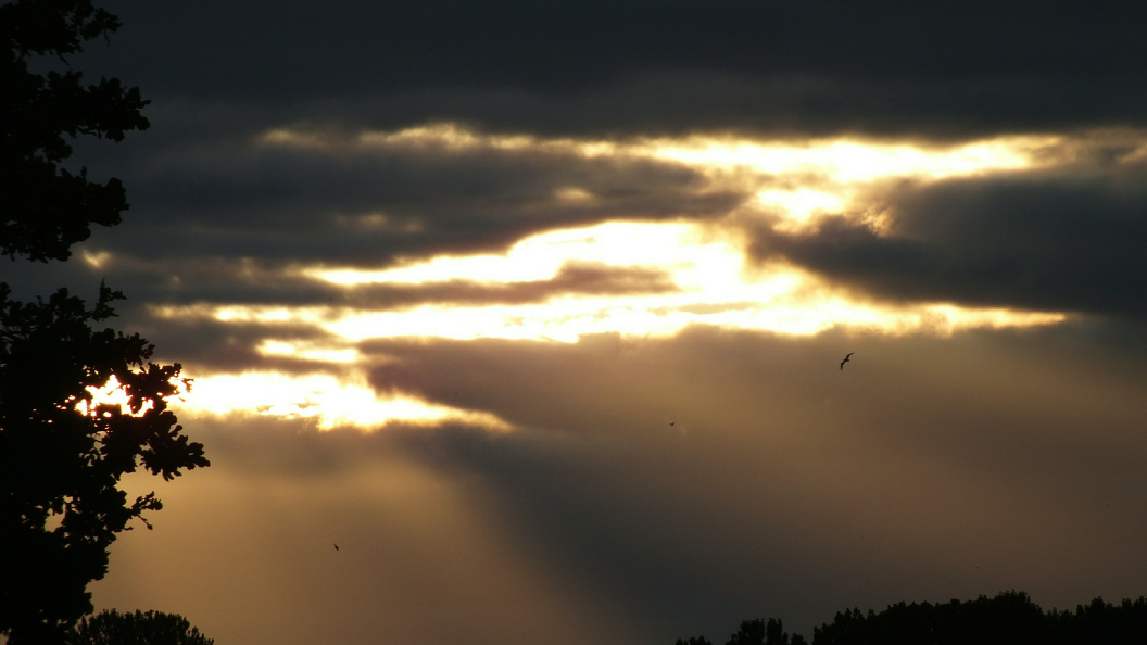    Фото: Victor Lisitsyn /Globallookpress