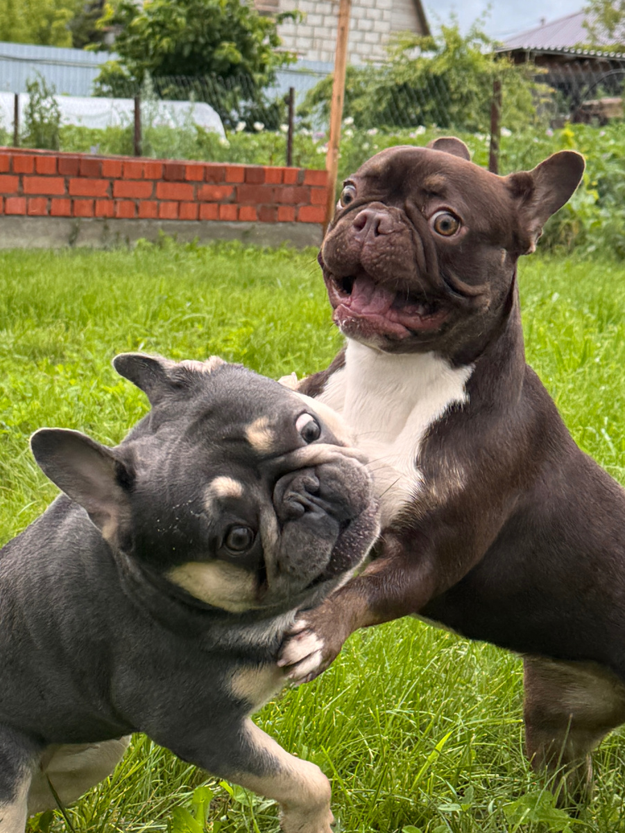 Мы гуляем в любую погоду😅