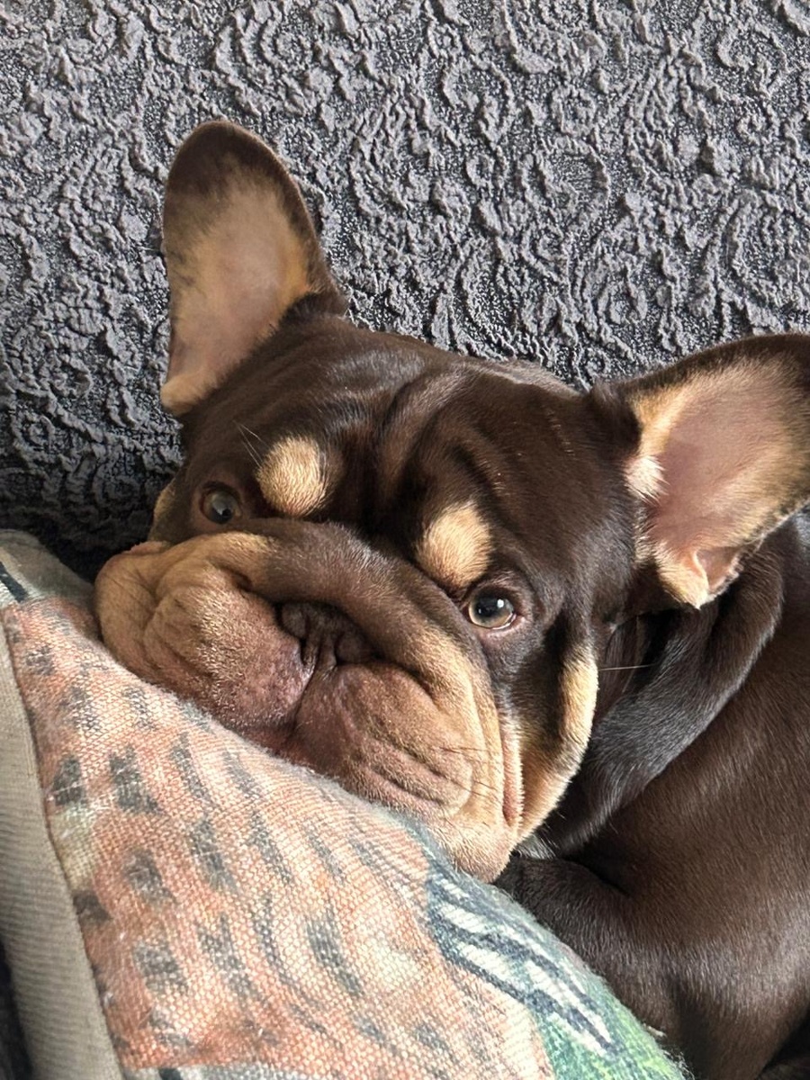 Мультик грустит - мама собирается на работу😞