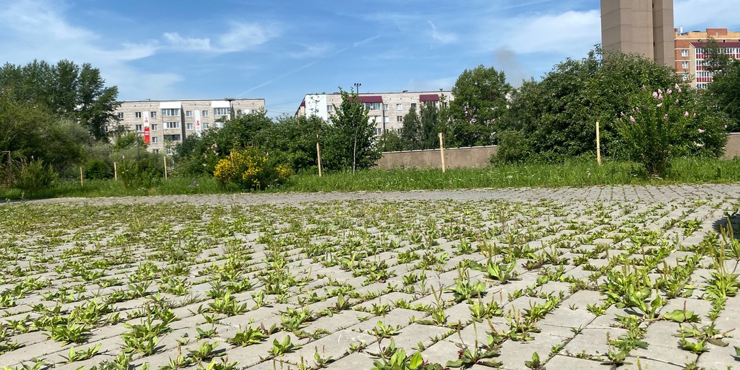 Город Назарово захвачен сорняками: жители жалуются на заросшую брусчатку и некошеные улицы