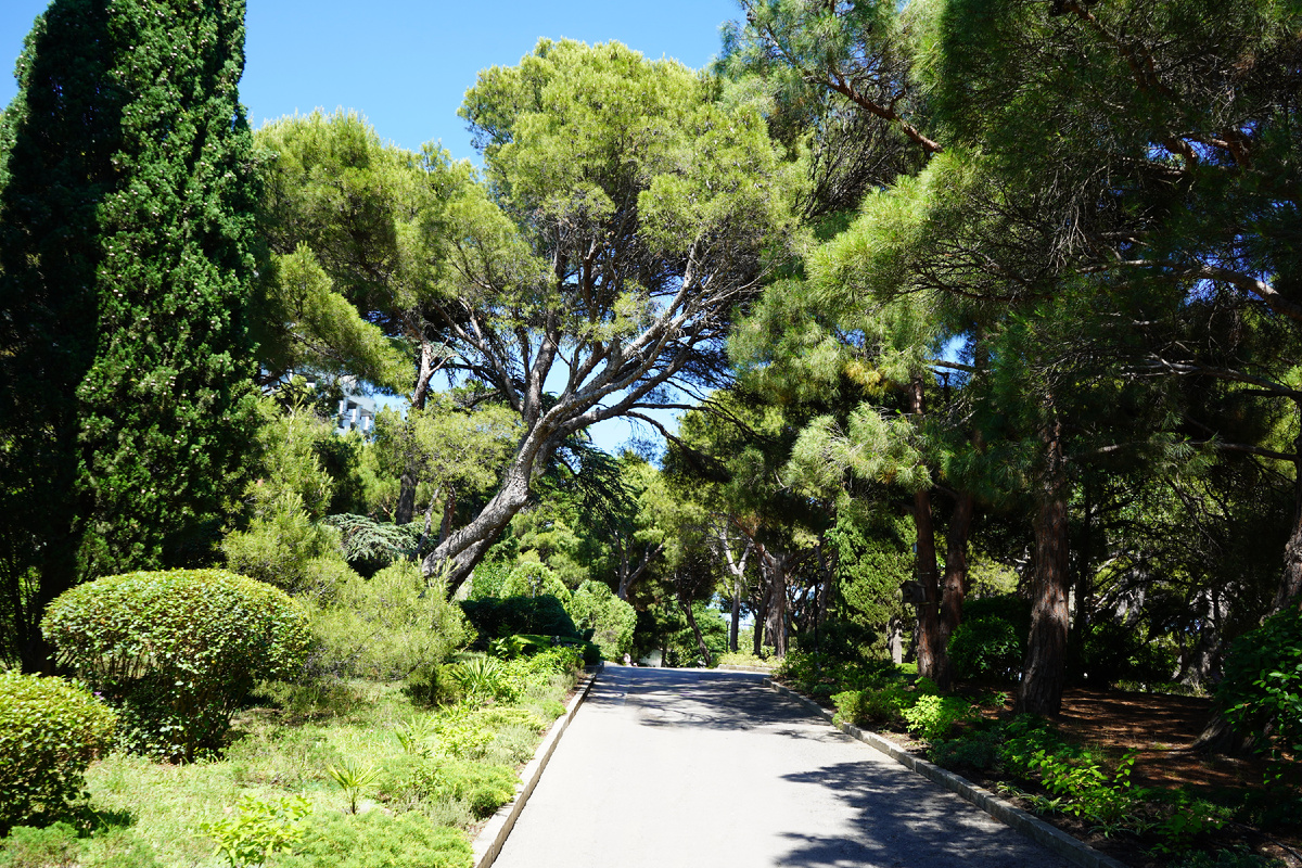Форосский парк, центральная аллея