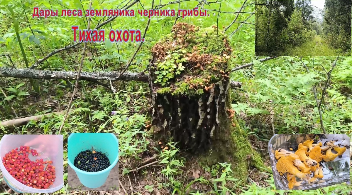 Фото из личного архива