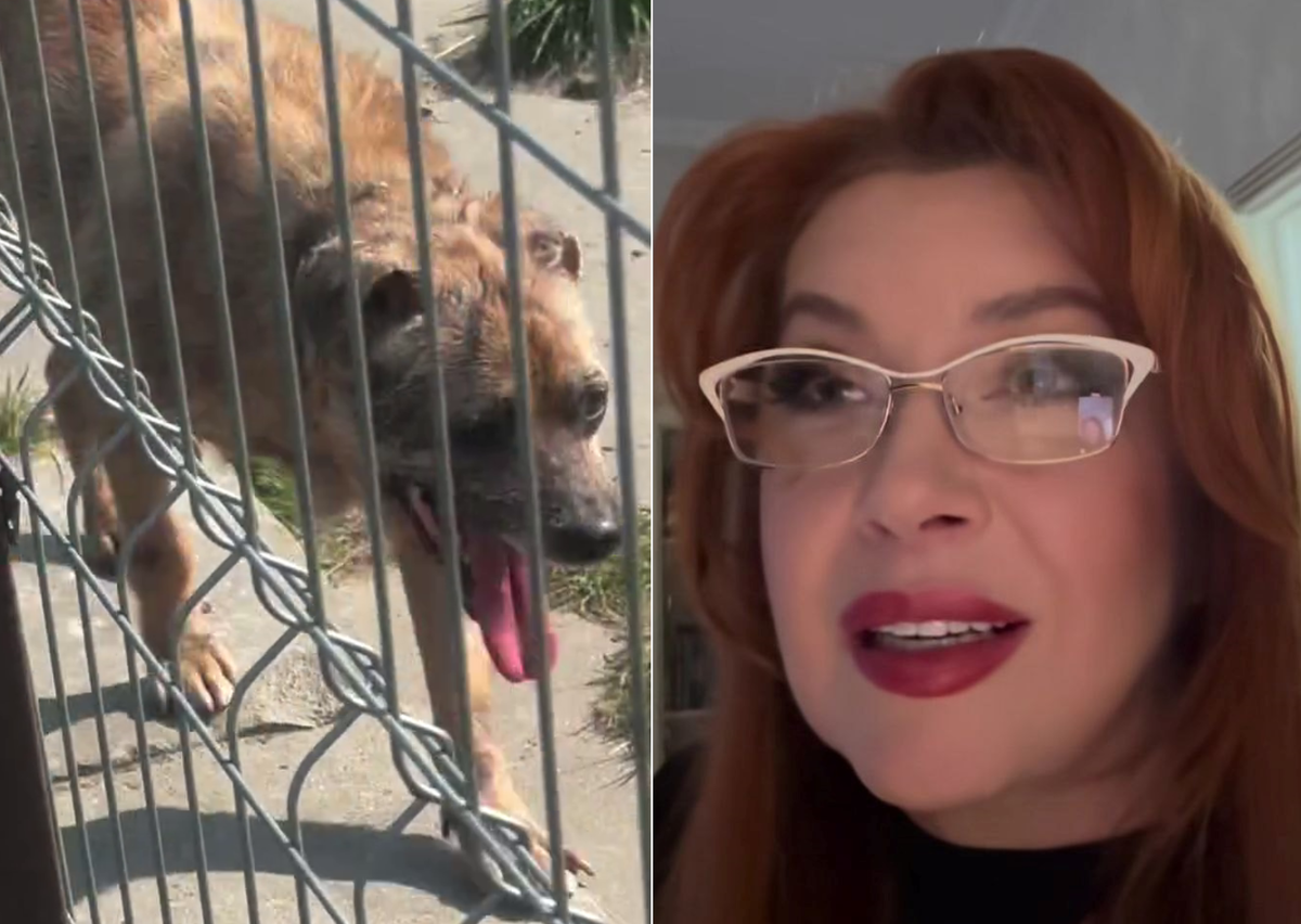 Фото: соцсети Веры Сотниковой