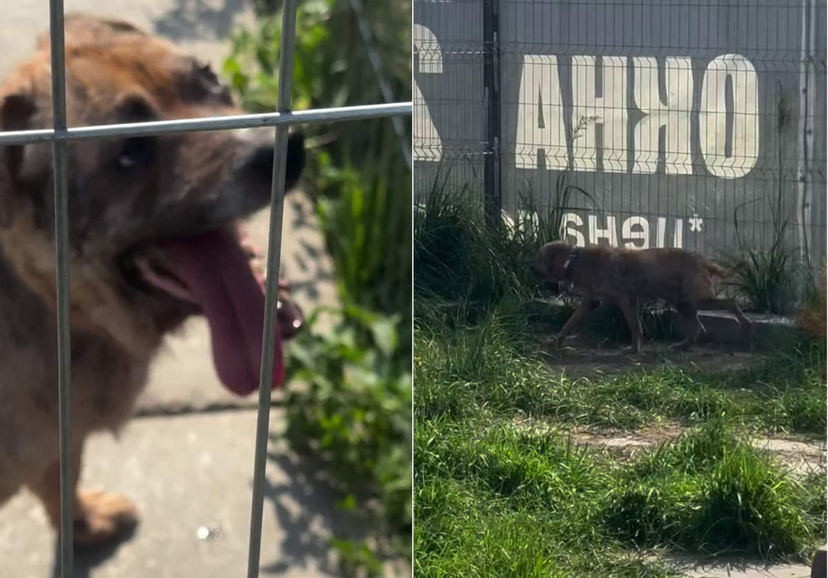 Фото: соцсети Веры Сотниковой