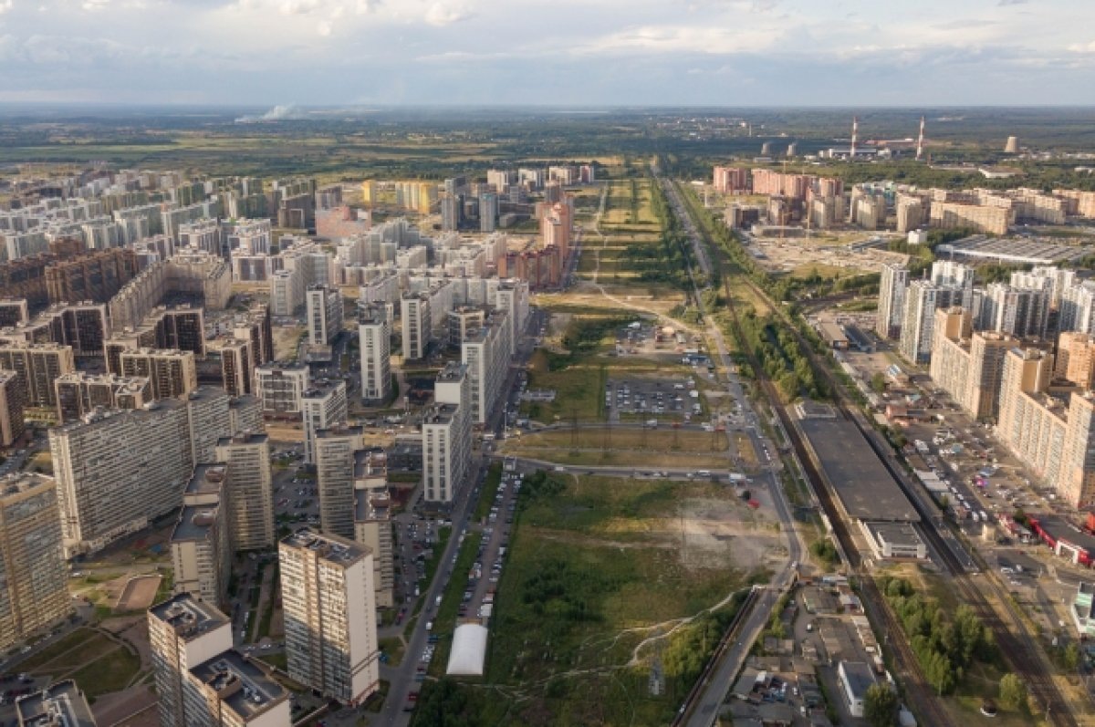 Источник: https://spb.aif.ru/society/iz-derevni-gorod-kak-posyolok-murino-prevratilsya-v-kamennye-dzhungli